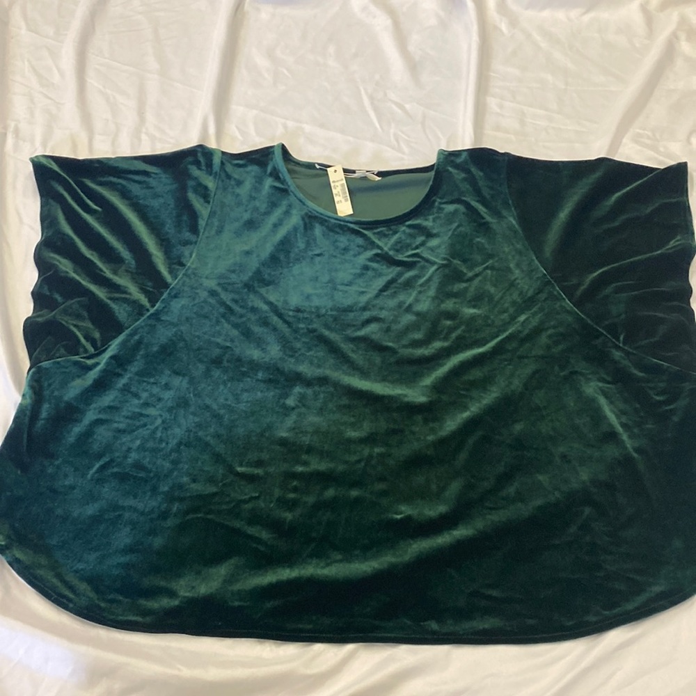 Madewell shimmery velvet butterfly top plus 3X